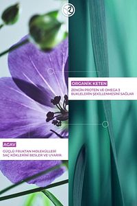 Bukle Belirginleştirici Şampuan - Kıvırcık ve Dalgalı Saçlar - Boucle - SLS,SLES içermez, Vegan-300m ürün fotoğrafı