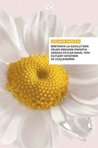 Hassas Cilt, Yatıştırıcı Organik Papatya, Yüz Yıkama/Makyaj Temizleme Yağı-Pure Camomille-150ml ürün fotoğrafı