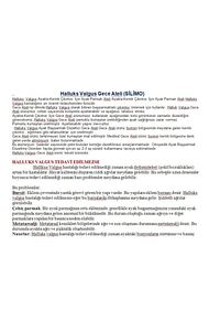 2 Li Set Ayak Baş Parmak Parmağı Kemik Kemiği Çıkıntısı Için Aparat Atel Halluks Valgus Bunyon ürün fotoğrafı