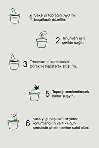 %100 Doğal Kedi Çimi (TÜY YUMAĞI ÖNLEYİCİ) 4 Adet ürün fotoğrafı