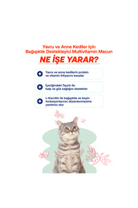 Yavru ve Anne Kediler İçin Bağışıklık Destekleyici Multivitamin Kedi Malt Macunu – 100g ürün fotoğrafı