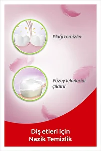 Ultra Soft Diş Etleri Için Nazik Temizlik Yumuşak Diş Fırçası Fırça Kabı Hediye ürün fotoğrafı
