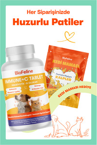 Yavru Kediler İçin Bağışıklık ve Genel Sağlık Destek Seti – Kitten Paste 100g + Immune+C 75 Tablet ürün fotoğrafı