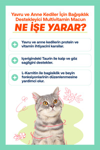 Yavru Kediler İçin Bağışıklık ve Genel Sağlık Destek Seti – Kitten Paste 100g + Immune+C 75 Tablet ürün fotoğrafı