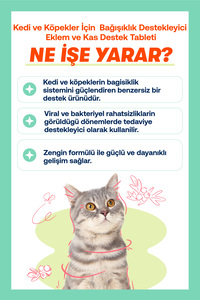 Yavru Kediler İçin Bağışıklık ve Genel Sağlık Destek Seti – Kitten Paste 100g + Immune+C 75 Tablet ürün fotoğrafı