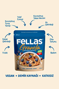 Granola 2'li Paket - Yaban Mersini & Kuruyemişli 200 G Fındık & Kakaolu 200 G ürün fotoğrafı