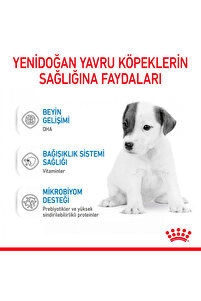 Baby Dog Milk Yavru Köpekler Için Süt Ikame Maması 400g ürün fotoğrafı
