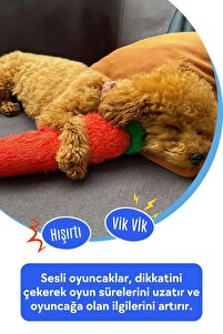 Tombik Havuç Peluş Köpek Oyuncağı | Vikvik ve Hışırtı Sesli Turuncu Köpek Oyun Uyku Arkadaşı ürün fotoğrafı