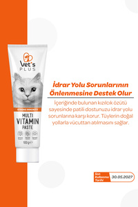 Multivitamin Malt Macun 100gr (Tüy Yumağı Önleyici ve Multivitamin Desteği, Kediler için) ürün fotoğrafı