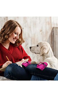 Köpek Ayakkabı Yumuşak Kapalı ve Açık Yürüyüş Koşu Eğitim Için 4 Adet ürün fotoğrafı