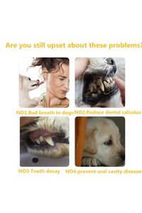 Kedi Köpek Diş Fırçası ve Diş Macunu Seti Yenilebilir Diş Macunu Dental Kit Ağız ve Diş Sağlık Seti ürün fotoğrafı