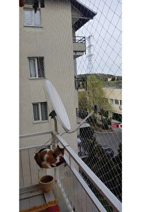 Balkon Filesi 3 X 7 (kuş Filesi, Kedi Filesi, Kuş Ağı, Kuş Önleme Filesi) ürün fotoğrafı