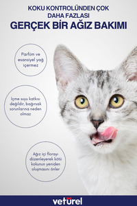 Ağız Ve Diş Bakım Spreyi 100ml Kedi Ağız Bakımı Köpek Ağız Kokusu Diş Eti Yarası Enfeksiyonu ürün fotoğrafı