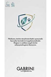Mat Fondöten Professional Hd Matte Porcelaın Foundation No:2 ürün fotoğrafı
