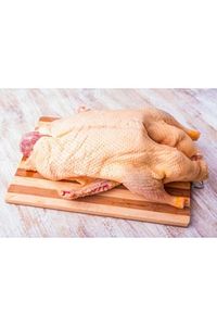 Kars Kazı Tuzsuz Dondurulmuş 3-3,5 Kg ürün fotoğrafı