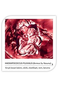 Haematococcus Pluvialis (kırmızı Su Yosunu) Kırışık Karşıtı Kolajen Göz Maskeleri 80 Gr - 60 Adet ürün fotoğrafı