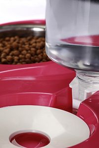 Hazneli Çelik Taslı Kedi-köpek Mama Ve Su Kabı Seti 1000ml Gri ürün fotoğrafı