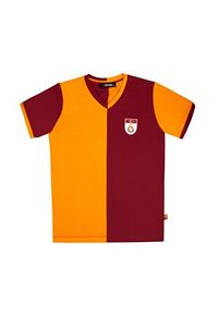 Orijinal Metin Oktay T-shirt Özel Tasarım Aslan Baskılı Hediyelik Ahşap Kutu ürün fotoğrafı