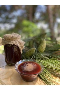 Çam Kozalak Şurubu 450 gr ürün fotoğrafı