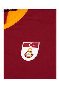 Orijinal Metin Oktay T-shirt Özel Tasarım Aslan Baskılı Hediyelik Ahşap Kutu ürün fotoğrafı