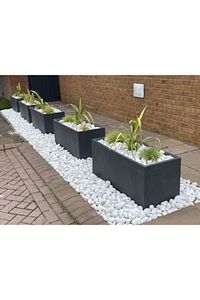 Dolomit Taş 10 Kg 4-6 Cm Beyaz Dolomit Taş Saksı Dibi Dekoratif Taş Bahçe Süsleme Taşı Peyzaj Taşı ürün fotoğrafı