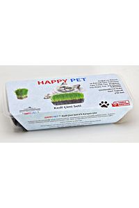 Kedi Çimi Kedi Otu Seti 100gr 6 Çeşit Tahıl Karışımı Ek Vitamin Mineral Tüy Yumağı Engeller ürün fotoğrafı