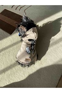 Kapişonlu Sweatshirt Köpek Ve Kedi Kıyafeti   Pudra Mickey Mouse ürün fotoğrafı