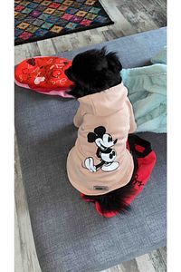 Kapişonlu Sweatshirt Köpek Ve Kedi Kıyafeti   Pudra Mickey Mouse ürün fotoğrafı