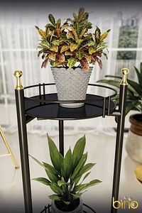 Saksılık Organizer Bahçe Balkon Standı Çiçeklik Dekoratif Lüks Metal 2 Katlı Servis Sunum Tepsi ürün fotoğrafı
