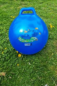 Zıp Zıp Kanguru Zıplama Plates Topu Çocuk Plates Topu 100 Cm Çap 40 Cm Yüksek Karışık Renk Gönderilr ürün fotoğrafı