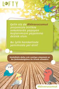 6x Favori Seti Esansiyel Uçucu Yağ, Buhurdanlık Yağı, Difüzör Esansı, Oda Kokusu 10ml ürün fotoğrafı