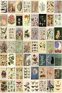 Vintage Botanical 60' Lı Duvar Posteri Seti ürün fotoğrafı