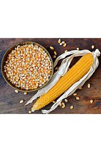 Patlayan Mısır - Popcorn 900 gr ürün fotoğrafı