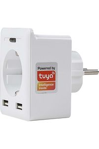 Swapp Sl-04 10a Akım Korumalı Akıllı Priz 2 Usb 2.4 Wifi Tuya Google Assistant Alexa Siri Destekli ürün fotoğrafı