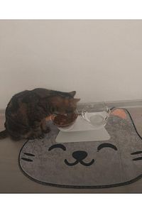 Kedi Tuvalet Önü Paspası, Kedi Mama Önü Paspası, Kedi Desenli Paspas, 50x60 Cat01ps ürün fotoğrafı