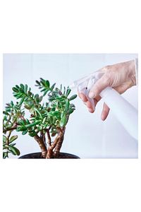 Beyaz Fısfıslı Sulama Sprey Şişesi 35 Cl Bitki Ve Mutfak Için Sprey Plastik ürün fotoğrafı