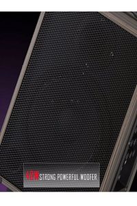Lt-912 Süper Bass Şarjlı Çift Mikrofonlu Hoparlör Karaoke Sistemi 100w Taşınabilir Parti Box ürün fotoğrafı