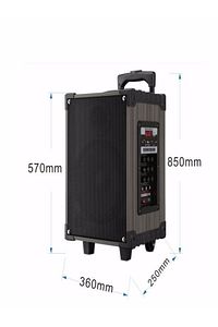Lt-912 Süper Bass Şarjlı Çift Mikrofonlu Hoparlör Karaoke Sistemi 100w Taşınabilir Parti Box ürün fotoğrafı
