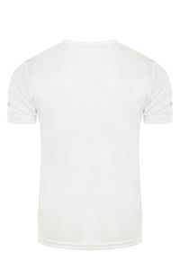 Erkek Nem Emici Hızlı Kuruma Atletik Teknik Performans Spor T-shirt ürün fotoğrafı