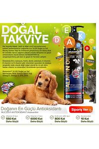 Kedi Ve Köpekler Için Norveç Somon Balık Yağı 400 Ml ürün fotoğrafı