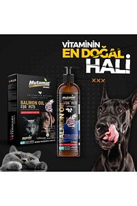 Kedi Ve Köpekler Için Norveç Somon Balık Yağı 400 Ml ürün fotoğrafı