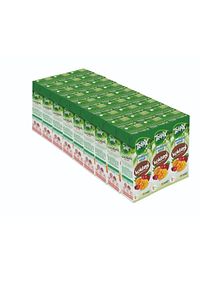 Meyve Suyu Kokteyl Aromalı 27x200ml. ürün fotoğrafı