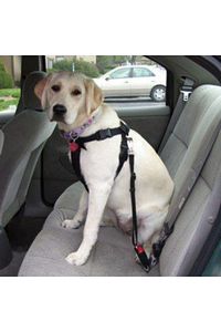 Evcil Hayvan Araç Emniyet Kemeri Kedi Köpek Araba Oto Tasması Oto Aksesuarı Kedi Köpek Emniyet Kemer ürün fotoğrafı