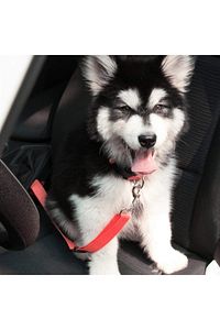 Evcil Hayvan Araç Emniyet Kemeri Kedi Köpek Araba Oto Tasması Oto Aksesuarı Kedi Köpek Emniyet Kemer ürün fotoğrafı