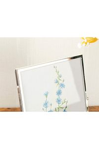 Felicita Çerçeve 13x18 Cm Silver ürün fotoğrafı