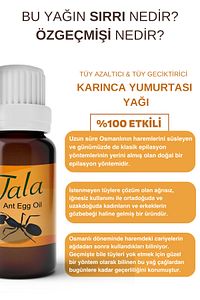 Karınca Yumurtası Yağı Tüy Azaltıcı Tüy İnceltici Tüy Dökücü 20 Ml ürün fotoğrafı