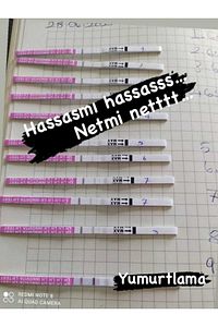 30 Adet Ovulasyon Testi 2 Adet Ultra Hızlı Gebelik Testi ürün fotoğrafı