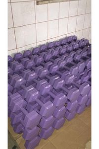 Mor Leyayon 2 Kg X 2 Adet Dambıl Vinyl Kaplı Dumbell Ağırlık - Mor Dambıl Seti Plastik 2 x 2 Kg ürün fotoğrafı
