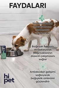 Sıvı Probiyotik Köpek Probiyotik 50 ml ürün fotoğrafı