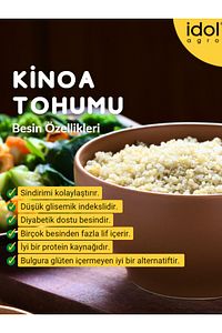 Kinoa Tohumu 950 gr  Superfoods Beyaz Tam Tane Glutensiz Düşük Gı Yüksek Protein+lif ürün fotoğrafı